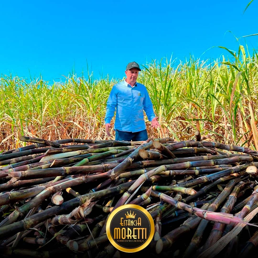 Luiz Carlos Moretti no Canavial do Alambique - Estância Moretti - Nobreza na Cachaça